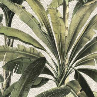 Коллекция  Essentials Travellers, 11140 Коллекция  Essentials Travellers, 11140