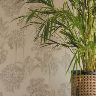 Коллекция  Oasis, 317325