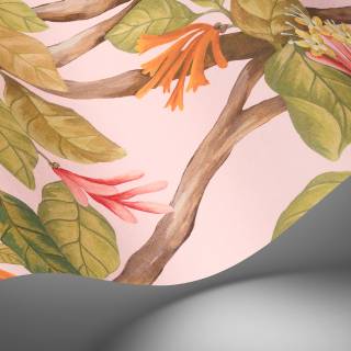 Коллекция Selection of Hummingbirds, 124/2009