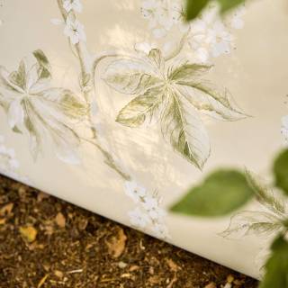 Колекція Country Woodland,  215707