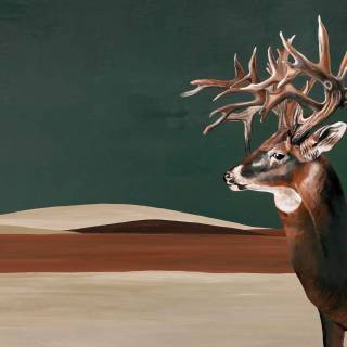 Коллекция Naturale, 9500201
