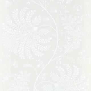 Колекція Curios,  216343