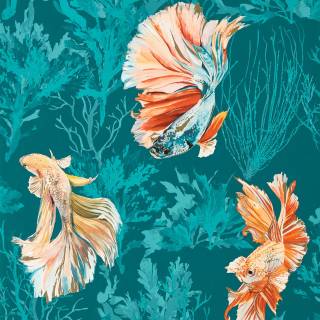 Колекція Colour, HTEW112767