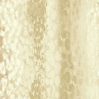 Колекція Edition 2, cb23805