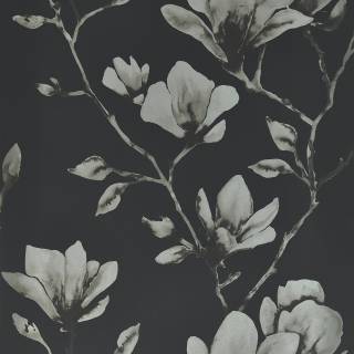 Колекція Colour, HTEW112602 Колекція Colour, HTEW112602