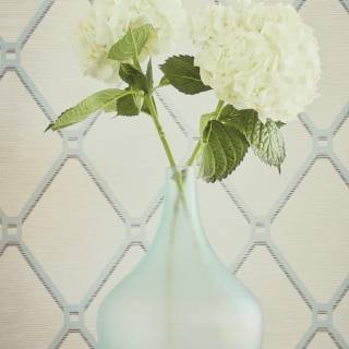 Колекція Surface Resource, T4049