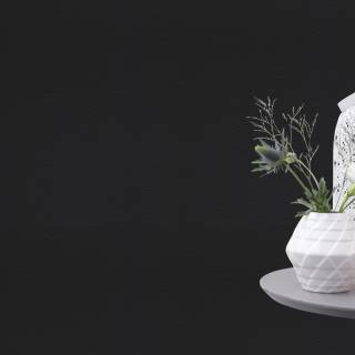 Колекція African Queen III, 752656