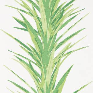 Колекція Glasshouse, DGLW216649