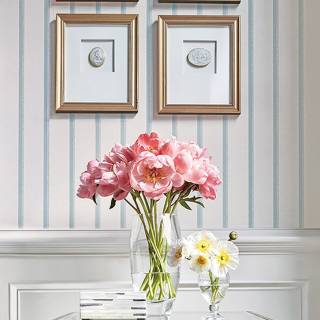 Колекція Colony, T10258