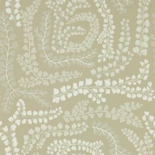 Коллекция Colour 4, HC4W113018