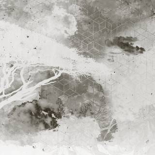 Колекція Violet Collection, MU11060