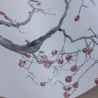 Коллекция Shinrin Yoku, 126/2004