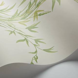 Колекція Archive Anthology 100/5023 Колекція Archive Anthology 100/5023