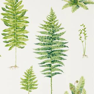 Колекція Glasshouse, DGLW216633 Колекція Glasshouse, DGLW216633