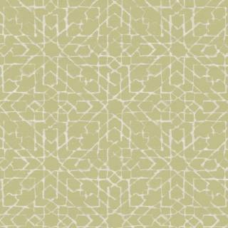 Коллекция  Signature 24561