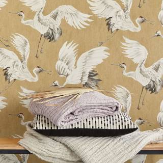 Колекція Oasis, 317351 Колекція Oasis, 317351