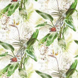 Колекція Kensington Walk Wallpapers, ZHIW312989