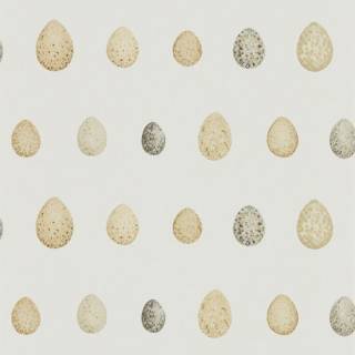 Колекція Embleton Bay, DEBB216505