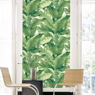 Колекція Anthology Resource, db10104