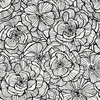 Коллекция  Piano, WH40810