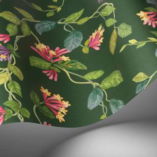 Колекція Selection of Hummingbirds, 124/3019