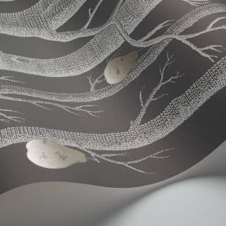 Коллекция The Contemporary Selection, 95/5031