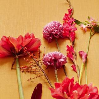 Колекція Museum, 307353