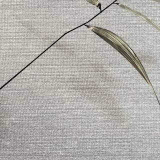 Коллекция  Cocoon, CO302