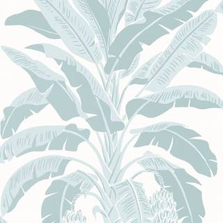 Коллекция  Palm Grove, T13916