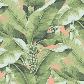 Колекция Anthology Resource, db10124