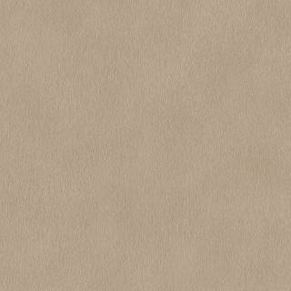 Коллекция  African Queen III, 751055 Коллекция  African Queen III, 751055