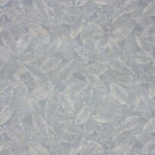 Коллекция  Pasha, W6752-03