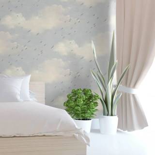 Колекція Transition, fj30801