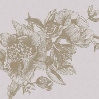 Коллекция Naturale, 9500701