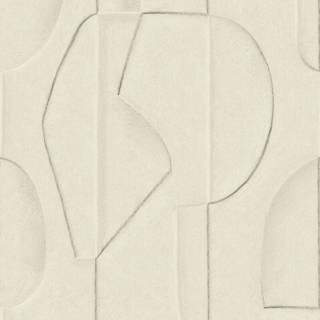 Колекція Artifact, 312480