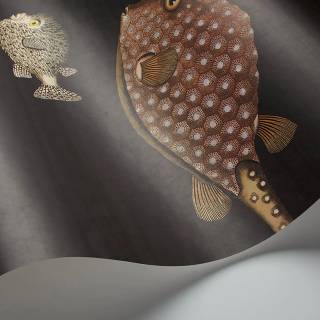 Коллекция Fornasetti Selection, 97/10048