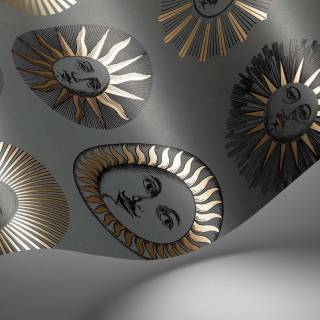 Колекція Fornasetti Senza Tempo II, 123/1003 Колекція Fornasetti Senza Tempo II, 123/1003