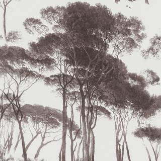 Коллекция  History of Art, 376511 Коллекция  History of Art, 376511