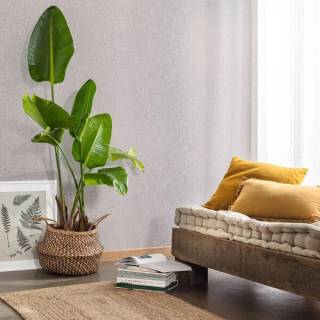 Колекція Moonlight 2, 103229899