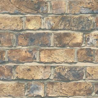 Колекція Transition, fj31702 Колекція Transition, fj31702