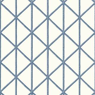 Колекція Tropics,  T10139