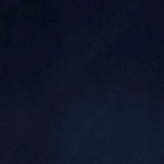 Коллекция  Velvet Walls 6431