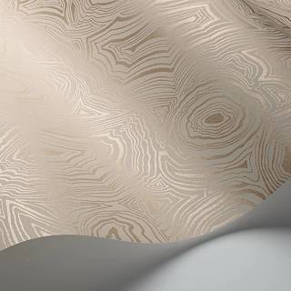 Колекція Fornasetti Selection, 114/6011