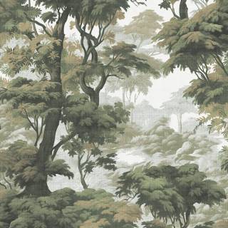 Колекція ArboretumG, 127934