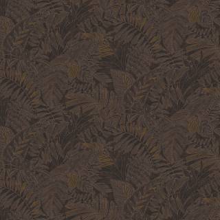 Колекція Ray, RAY205