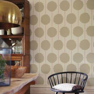 Колекція Spirit and Soul, NSWA110854