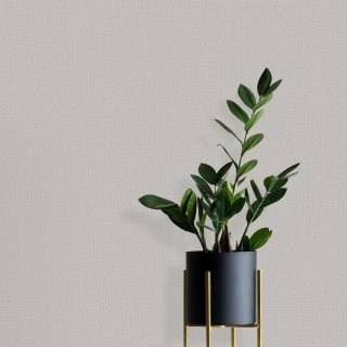 Коллекция  Spotlight2, 12213-10