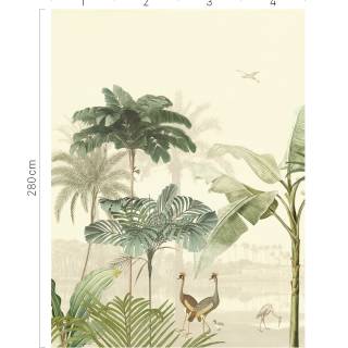 Колекція Oasis, 317403