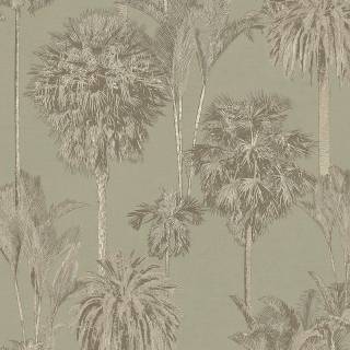 Коллекция  Oasis, 317324