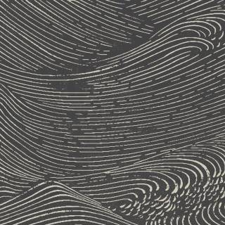 Колекція Enso, 386532 Колекція Enso, 386532